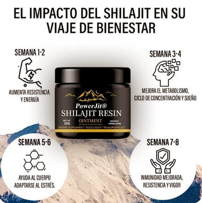 Shilajit Puro – Energía y Fortaleza Natural en su Máxima Potencia